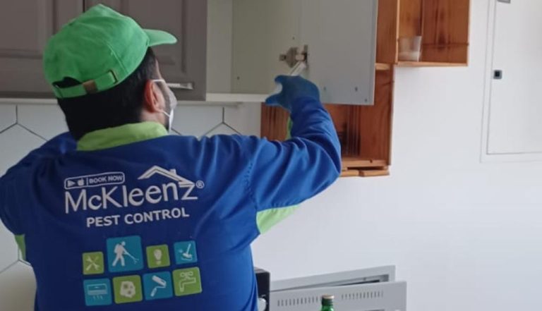 SOURCING TRUSTED PEST CONTROL DUBAI COMPANIES IN 2023 AND 2024